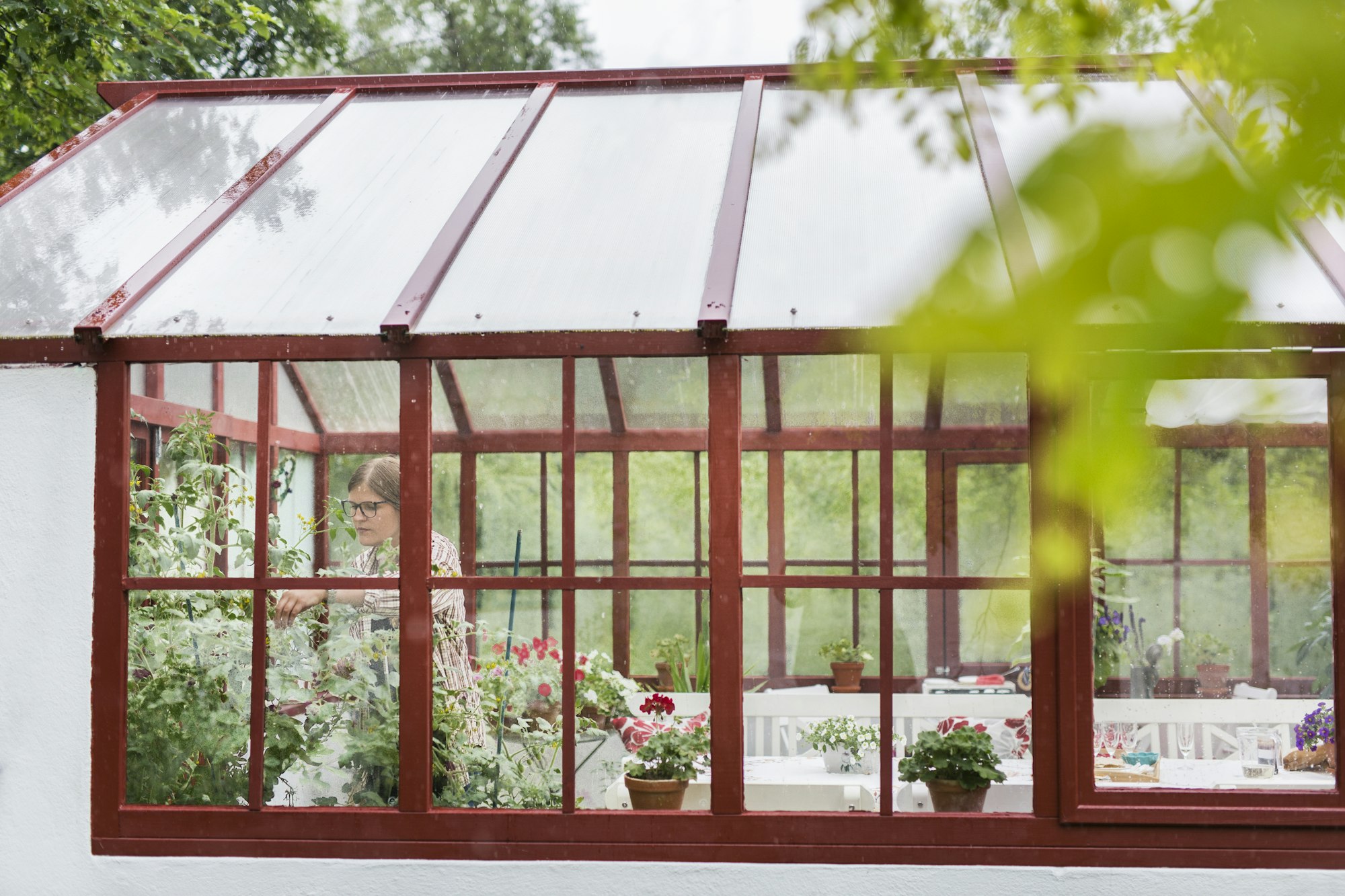 Woman checking plants in conservatory